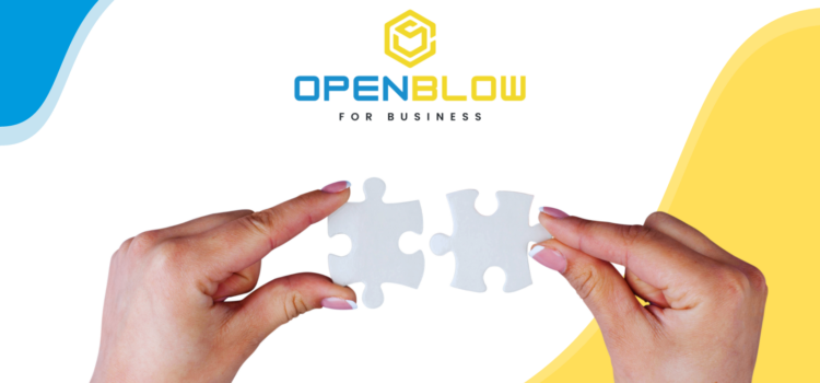 OpenBlow for Business